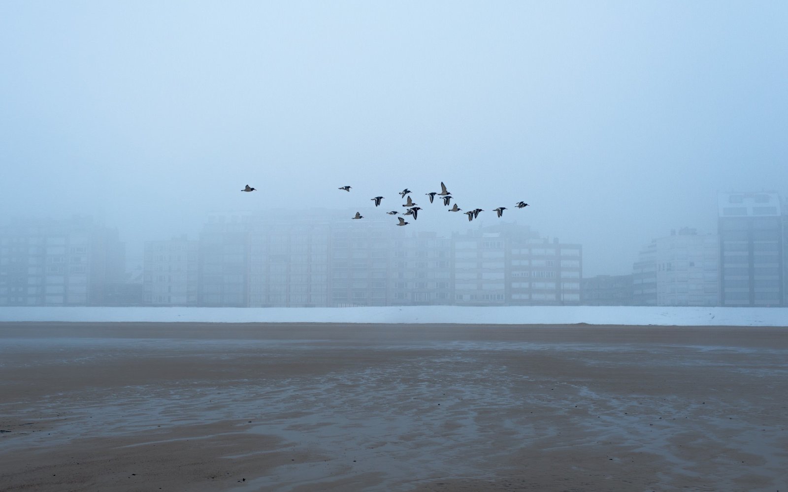 Foto de Anunturi gratuite en Pexels